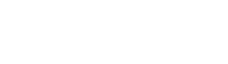 breaking-news-srilanka-logo